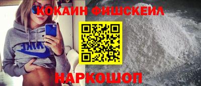 2c-b Кингисепп