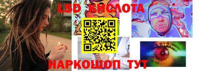 2c-b Кингисепп