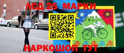 2c-b Кингисепп