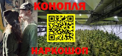 2c-b Кингисепп